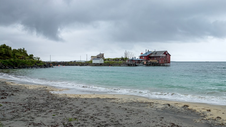 Bøvær i Skaland, kort avstikker fra Nasjonal turistveg Senja. Foto: Trine Kanter Zerwekh, Statens vegvesen
