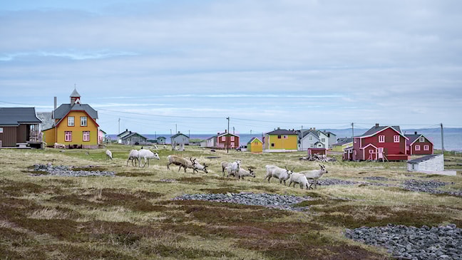 Wooden houses in various colors surrounded by mountains and sea.