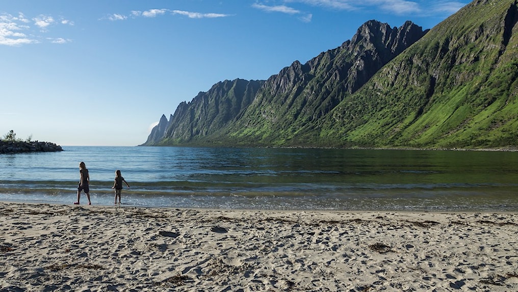 Two children walking on a beach.