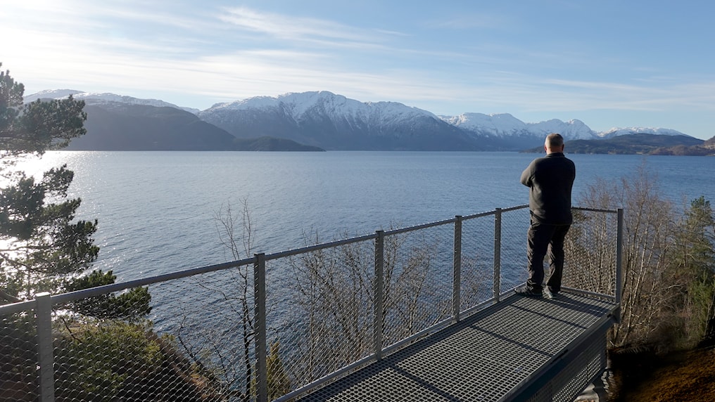 Man on a viewing platform looks out over the Hardangerfjord.