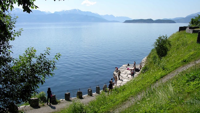 Rasteplass ved Hardangerfjorden.