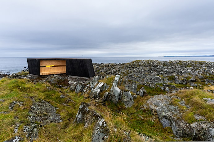 Hamningberg er et velegnet sted for å oppleve naturen og fotografere fuglelivet. 
