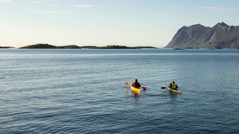 Padling med havkajakk ved Hamn. Foto: Trine Kanter Zerwekh