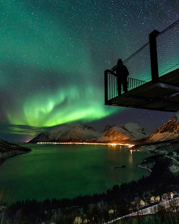 Nordlys sett fra Bergsbotn utsiktsplattform, Nasjonal turistveg Senja. Foto: Espen Bergersen, Fotogalleriet.no