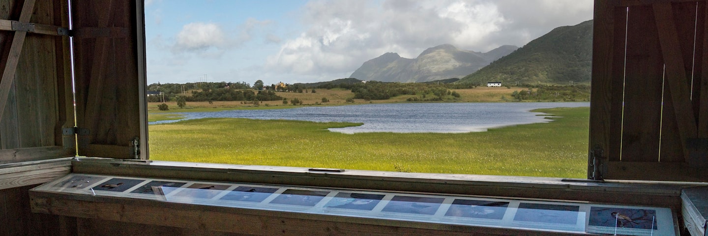Fuglekikkertårnet ved Gårdsvatnet i Vestvågøy.
