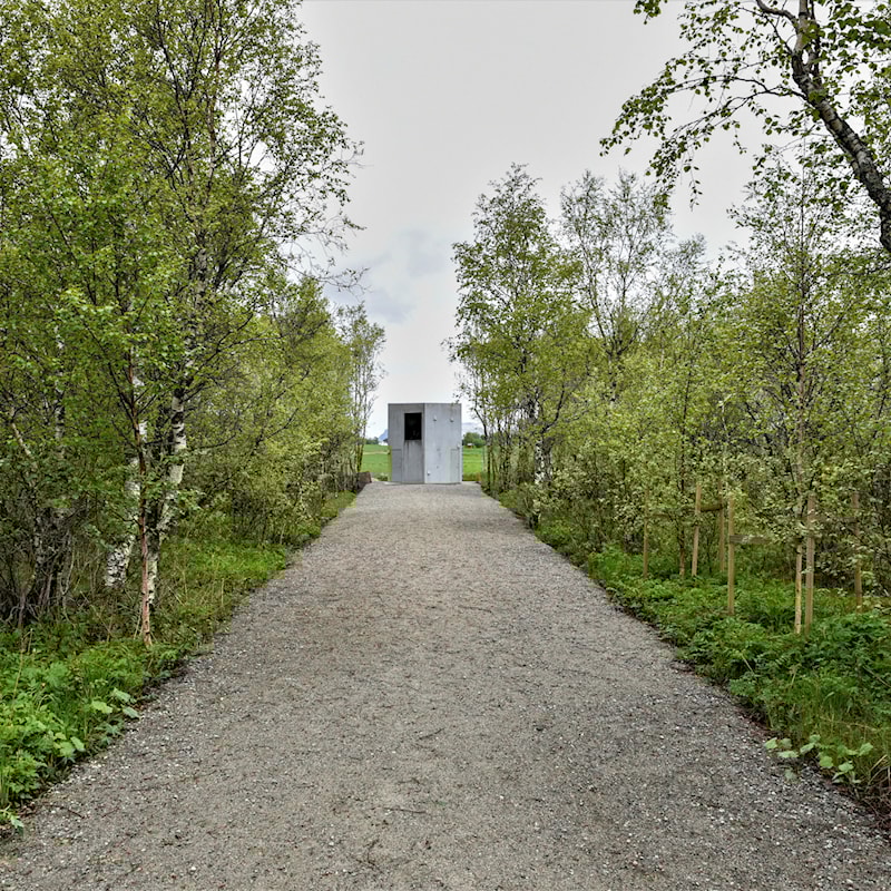 Grussti gjennom skogen ned til vannet