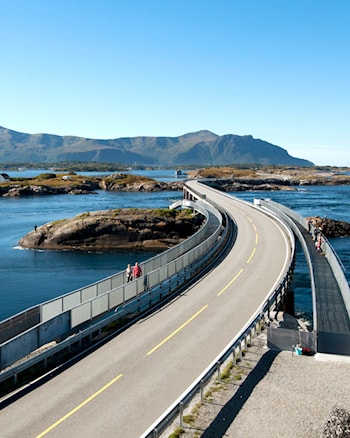 Myrbærholmbrua med fiskebruene.