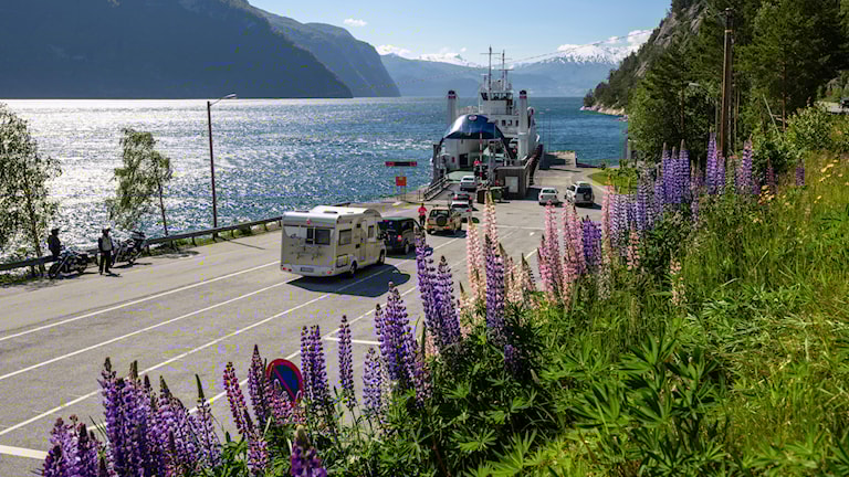 Linge ferjekai, ferje Linge-Eidsdal over Norddalsfjorden.