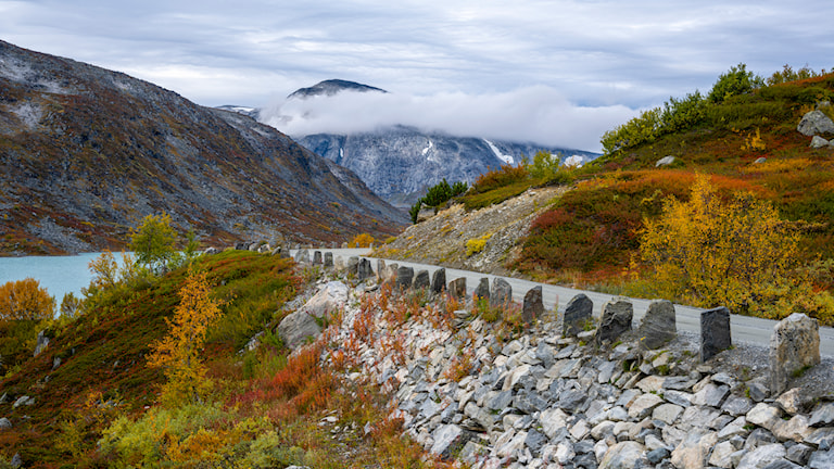 Grusvei med kantstein.