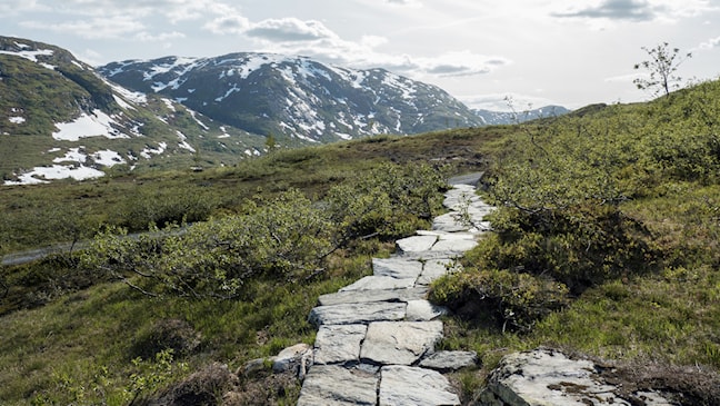 Kunstinstallasjonen Mirage av Marianne Heier, ved Torsnesstølen.