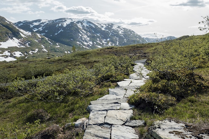 Kunstinstallasjonen Mirage av Marianne Heier, ved Torsnesstølen.