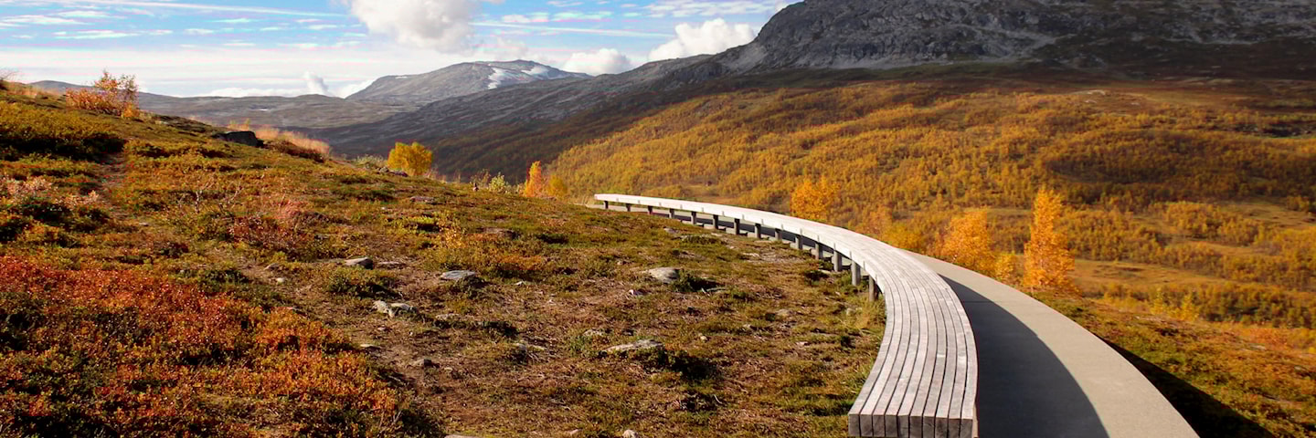 Stien på Vedahaugane leier fram til kunstinstallasjonen «Den» av Mark Dion.