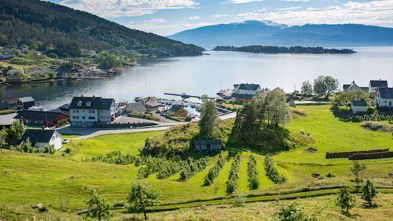 Hardangerfjorden sett fra Herand i Jondal.