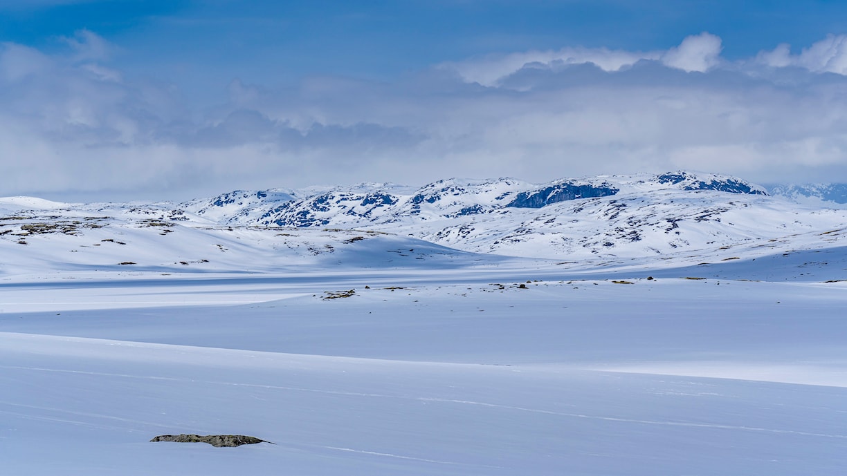 Ørteren, Hardangervidda.