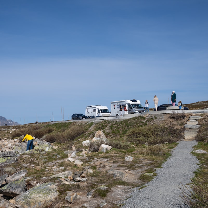 Folk som vandrer på og rundt rasteplassen.