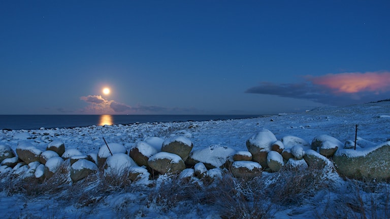 Måneskinn over steingjerde ved Varhaug.