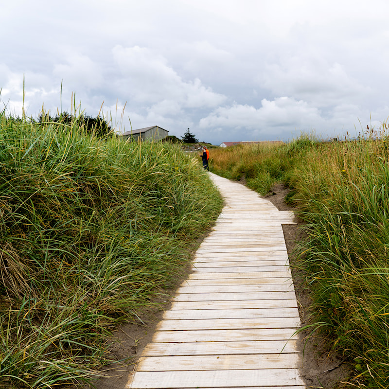 Sti til stranda i tre