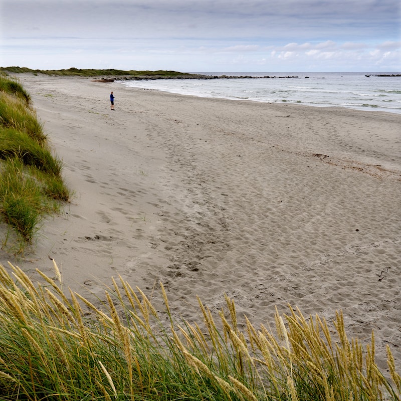 Strand med utsyn til havet
